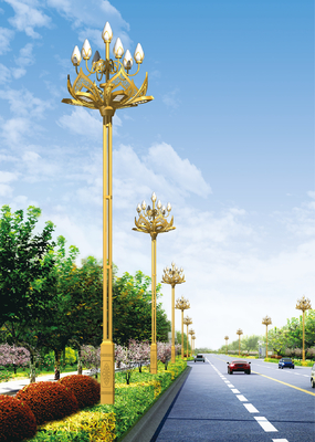 PF0.9 Aluminium Parking Lot  magnolia shape LED Street Light with high pole 200W 160lm/W 100-265V